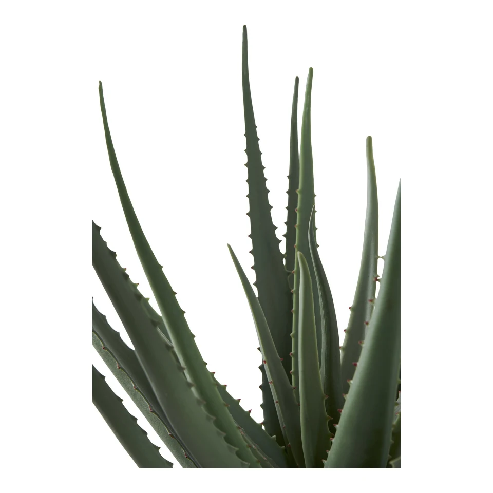 Aloe Vera - Umjetna biljka, zelena H:51 cm