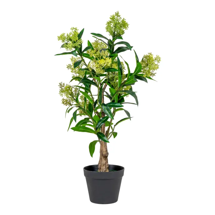 Skimmia Tree - Umjetna biljka, zelena H:75 cm